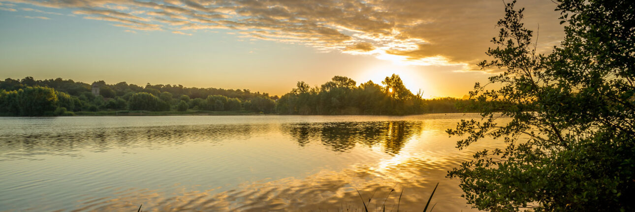 First sight of the rising sun on a June morning on Whitlingham Great Broad near Norwich