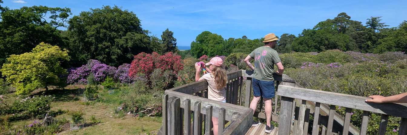 Sheringham Park viewpoint