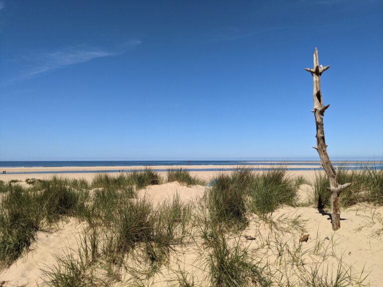 Wells dunes and beach